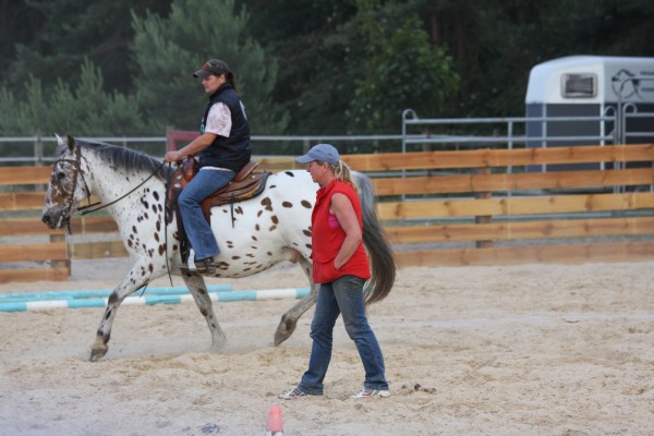 cavalo cavaleiro equestre rancho