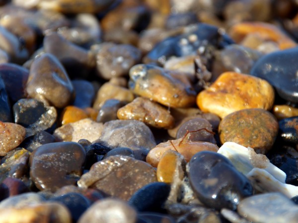 um mar de pedras
