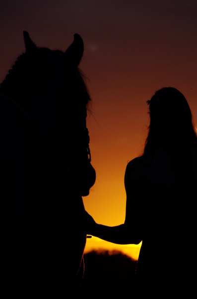 mulher cavalo por do sol noite