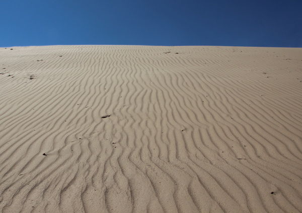 closeup espaco deserto praia beira mar
