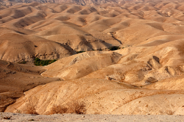 paisagem do deserto judaico