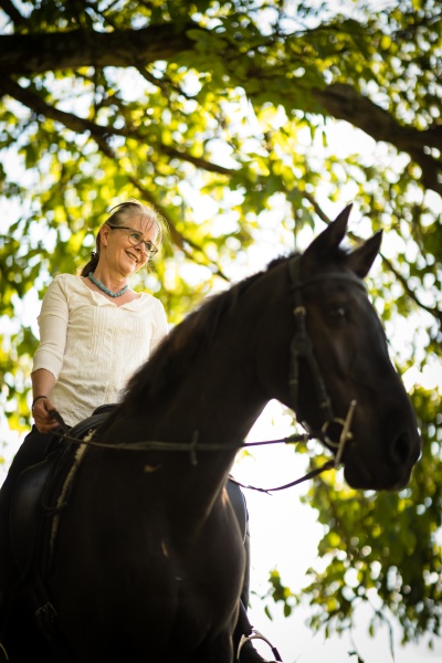 Desporto equestre de cavalos de adestramento Fotos de Stock, Desporto  equestre de cavalos de adestramento Imagens sem royalties