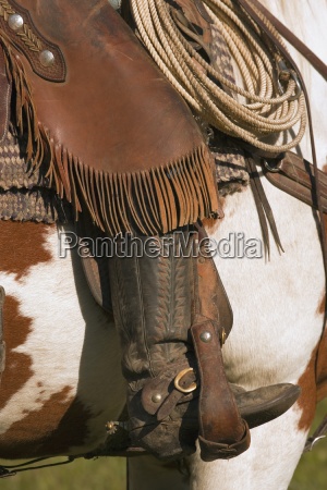 vaqueiro equitação com corda laço em cavalo dentro a campo rodeio