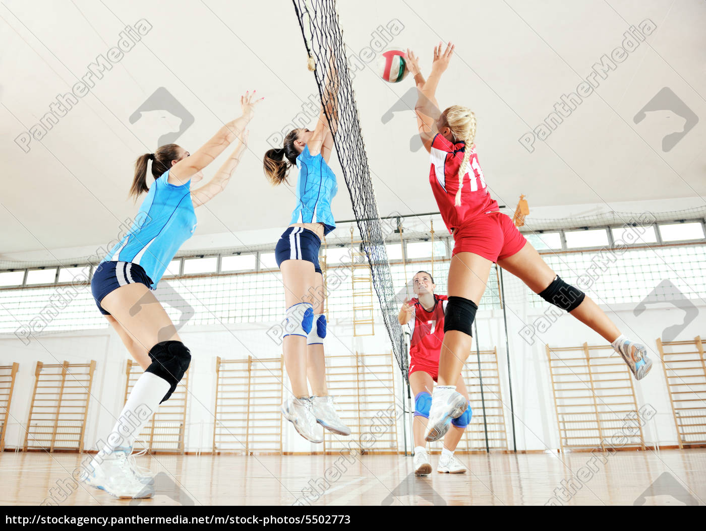 meninas jogando vôlei jogo indoor 880634 Foto de stock no Vecteezy