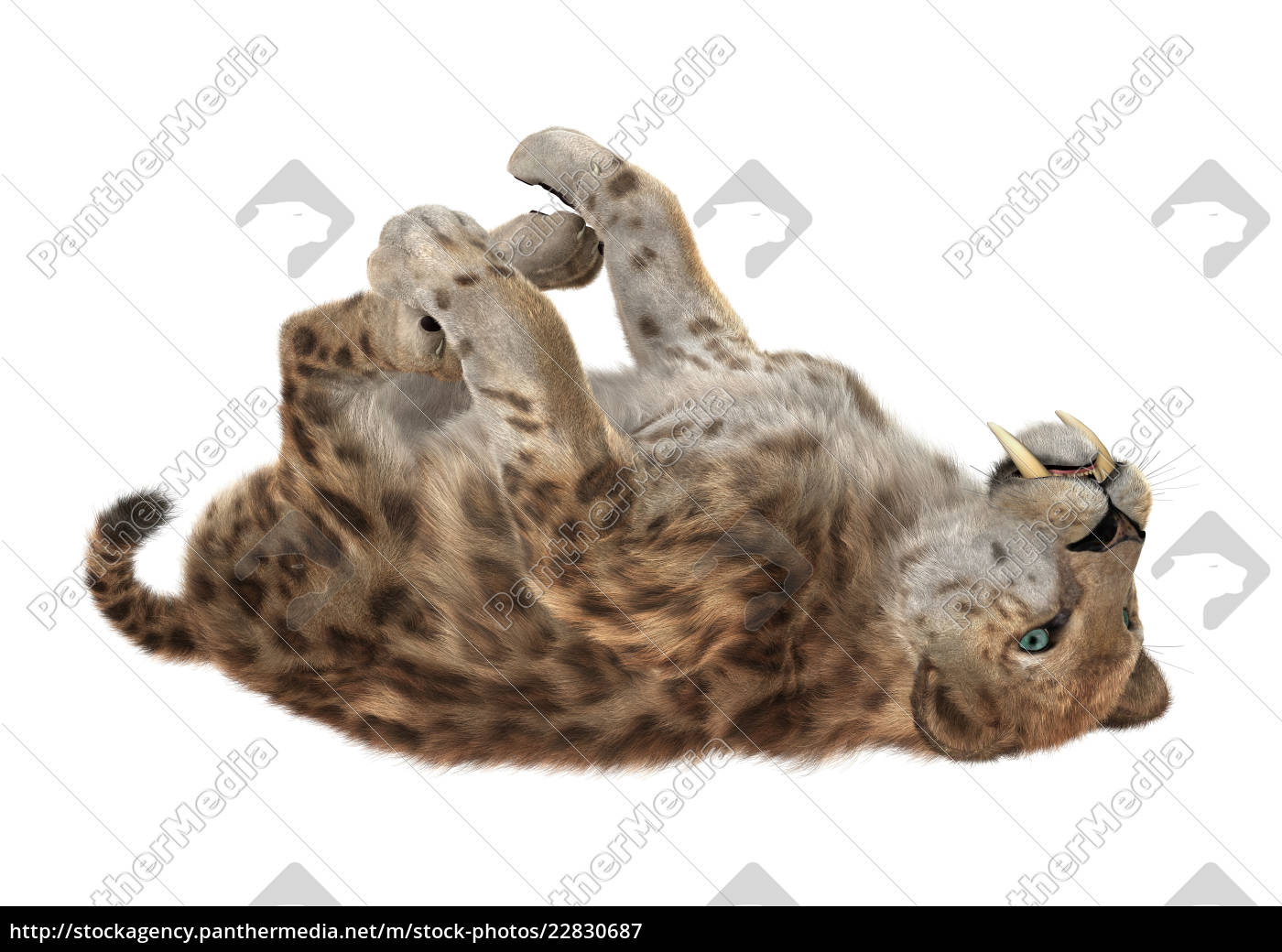 Renderização 3d De Um Grande Tigre De Gato Isolado No Fundo Branco