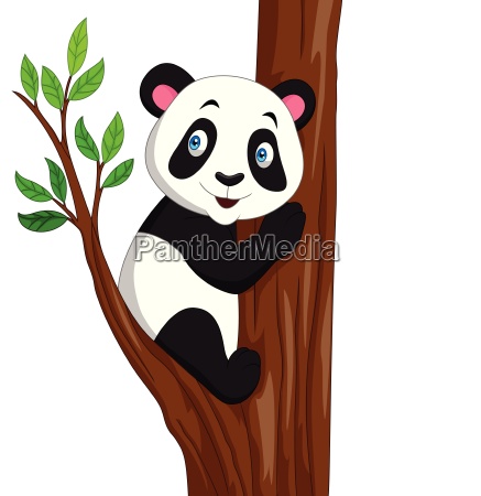 Vetores de Panda Bonito Dos Desenhos Animados Árvore De Escalada e mais  imagens de 2015 - iStock