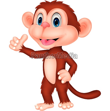 Desenho animado de macaco feliz com o polegar para cima - Stockphoto  #28008430