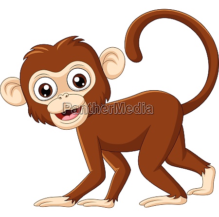 Bonito pequeno macaco desenho animado personagem cômico com rosto