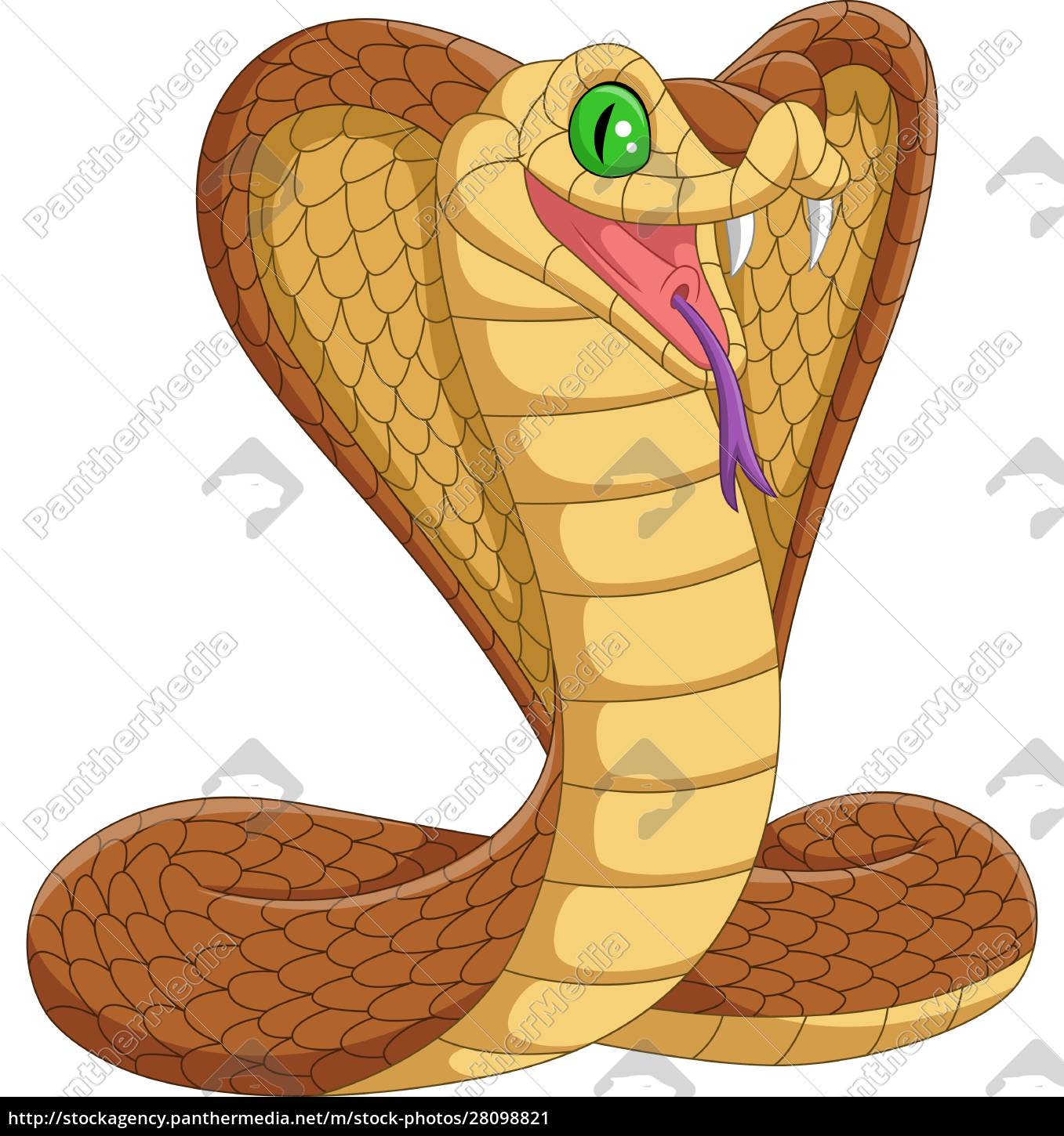 Mascote cobra-cobra-rei do desenho animado - Stockphoto #28098824